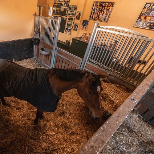 Gut Aubenhausen 2024