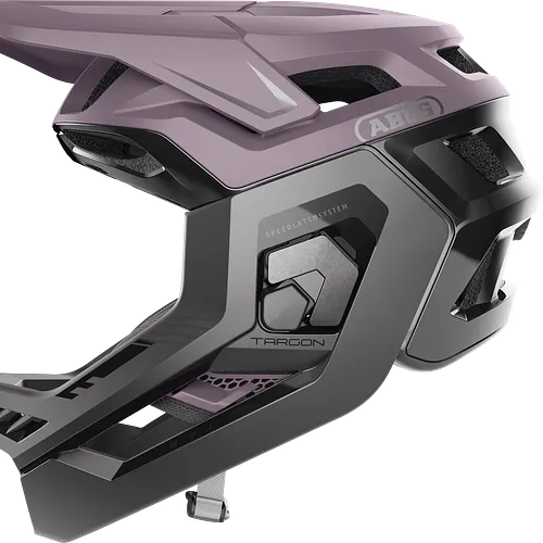 Targon Ash Purple