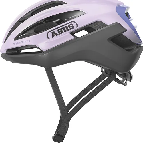 Taipan All In Purple
