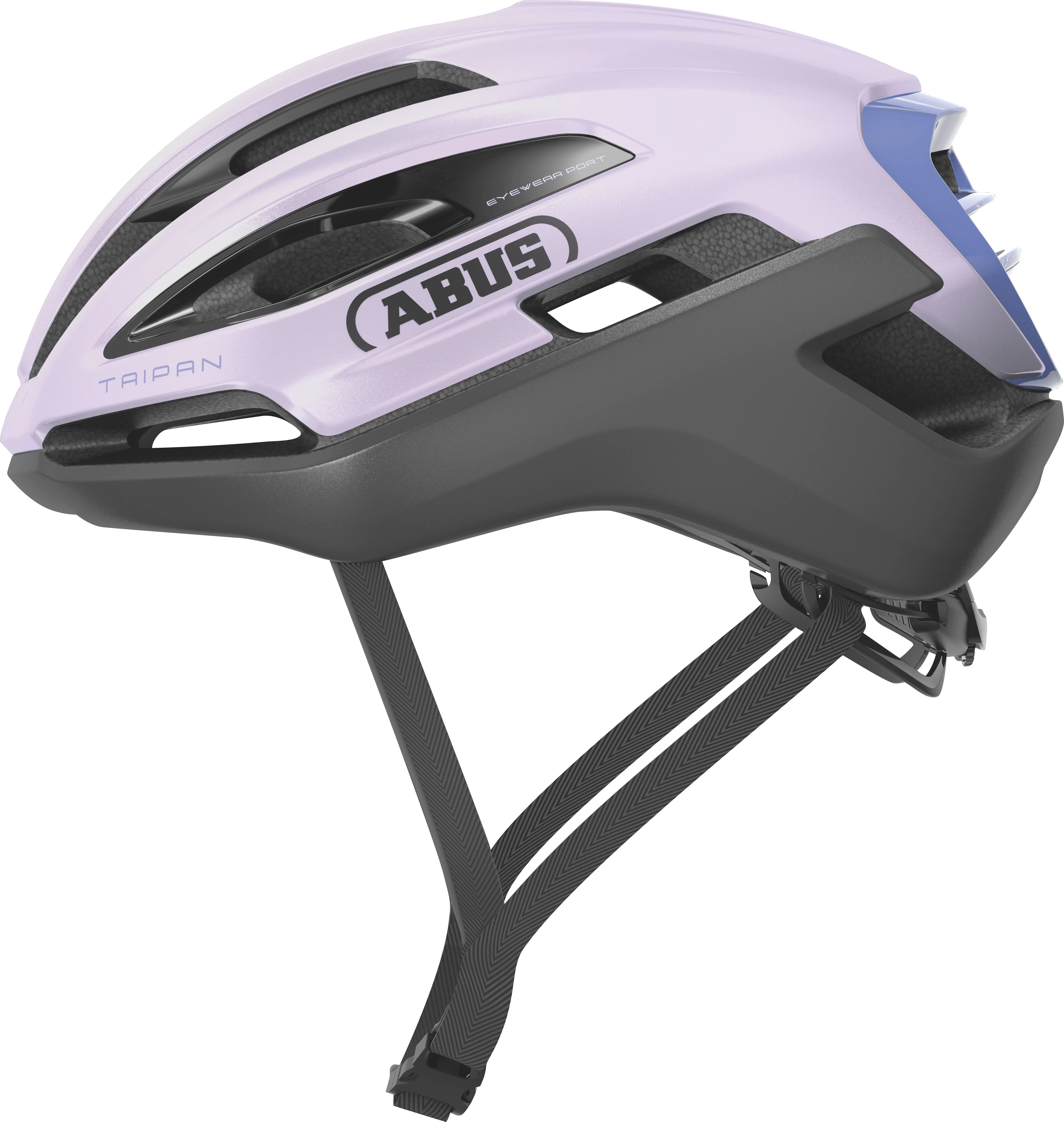 Taipan All In Purple